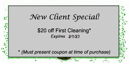 Home house cleaning maid service